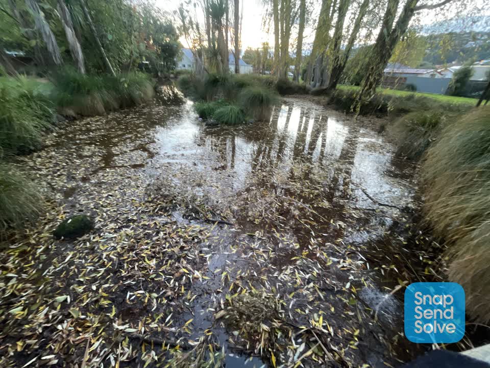 The photograph attached to this parks report