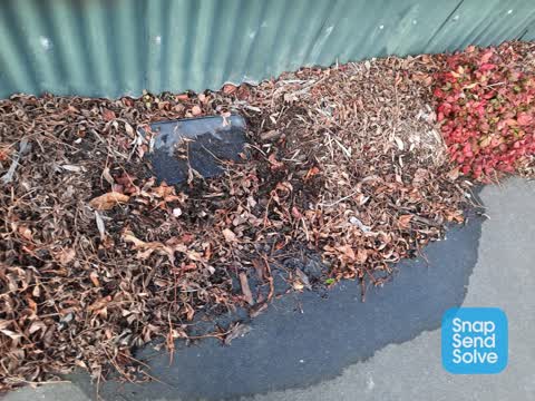 Water Leak, a report photo