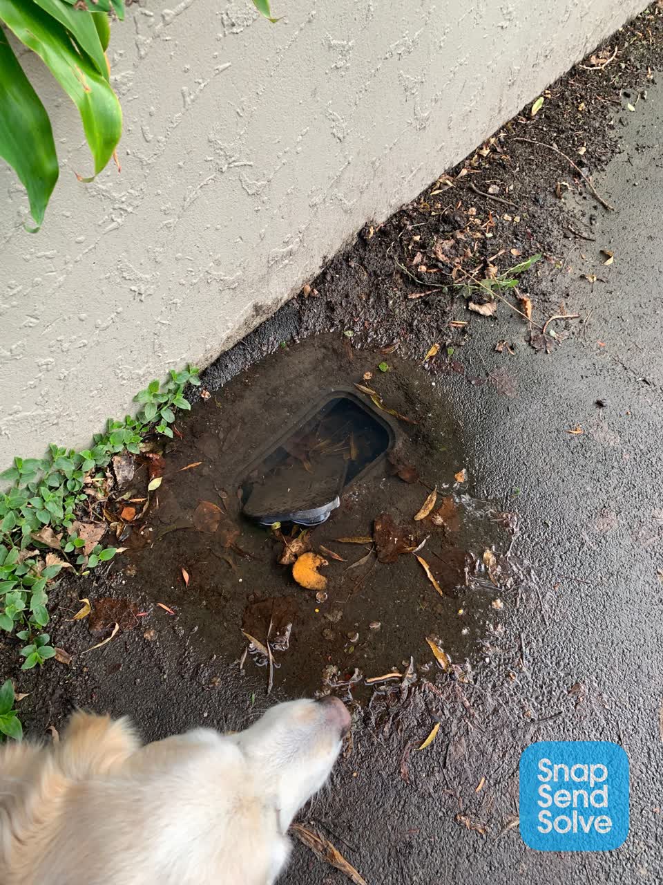 The photograph attached to this water leak report