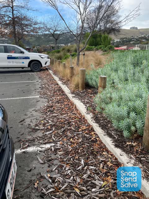 Parks — a report photo