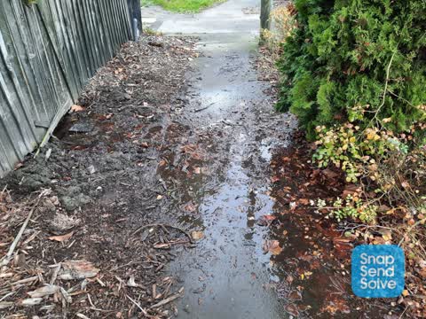 Water Leak, a report photo
