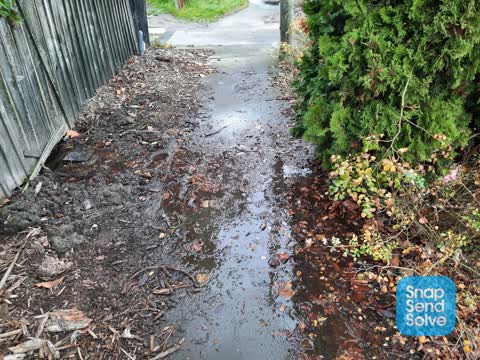Water Leak, a report photo