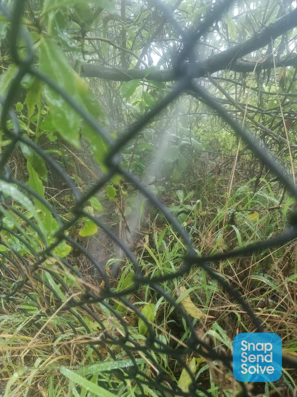 The photograph attached to this water leak report
