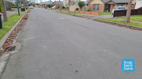 Roading/Streets, a report photo