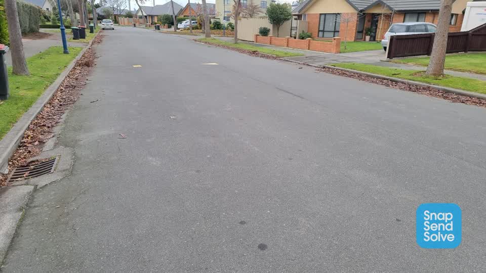 The photograph attached to this roading/streets report