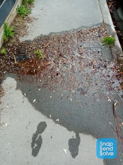 Water Supply, a report photo