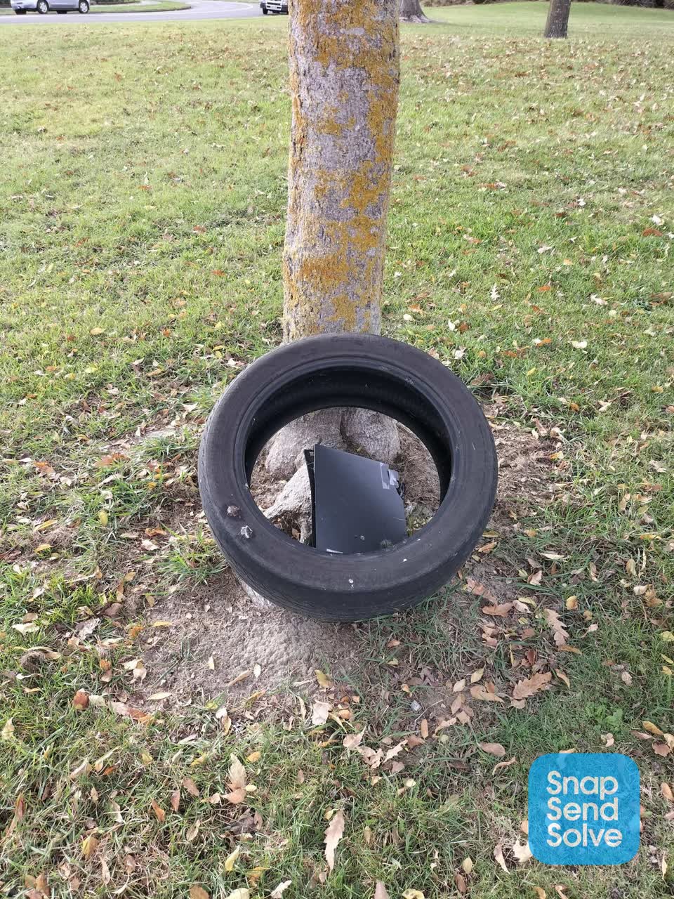 The photograph attached to this rubbish/recycling report
