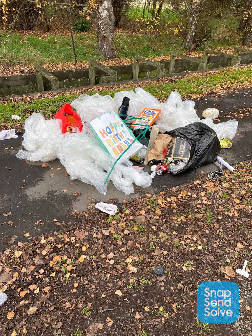 The photograph attached to this rubbish/recycling report