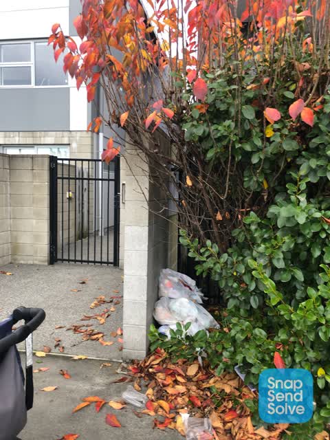 Rubbish/Recycling, a report photo