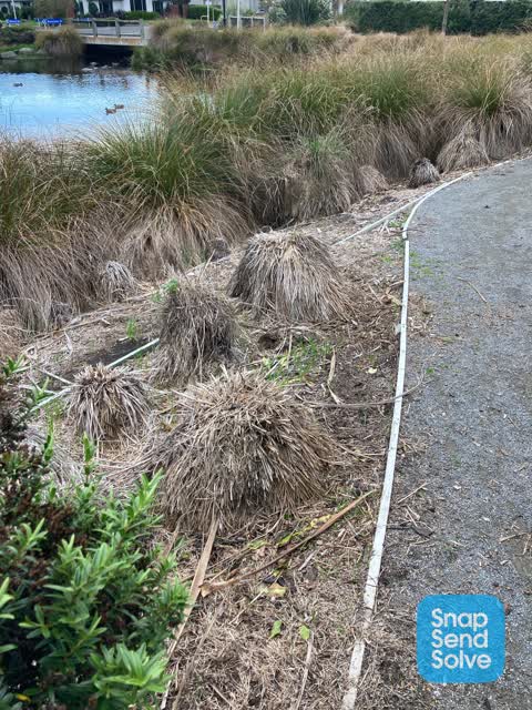 Parks, a report photo