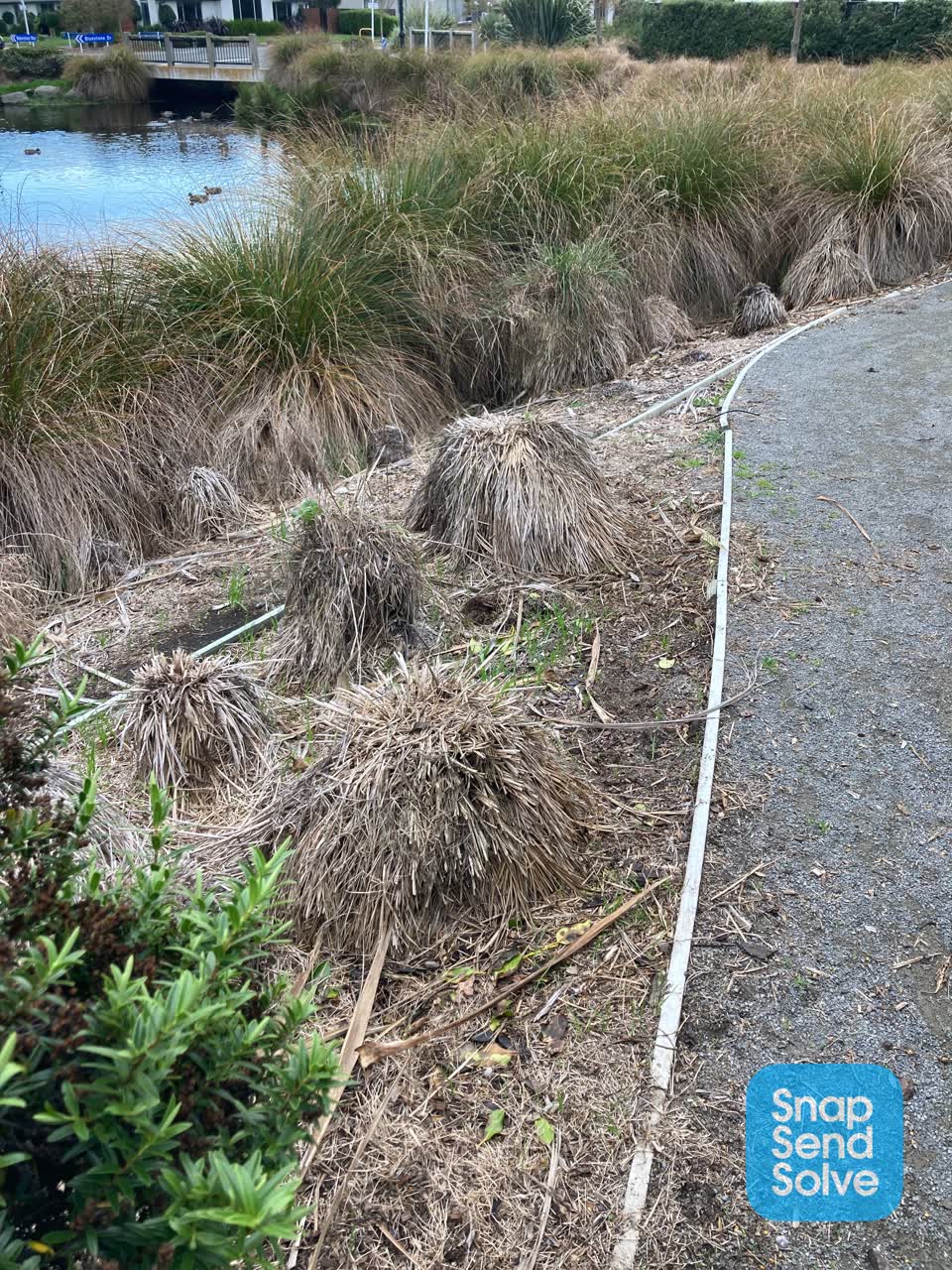 The photograph attached to this parks report