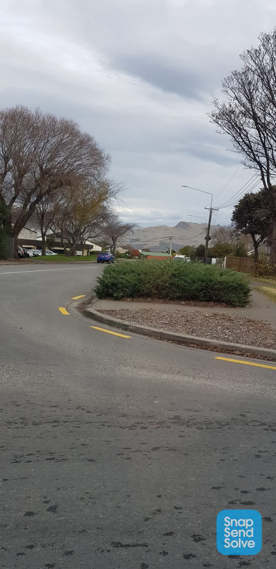 The photograph attached to this parks report
