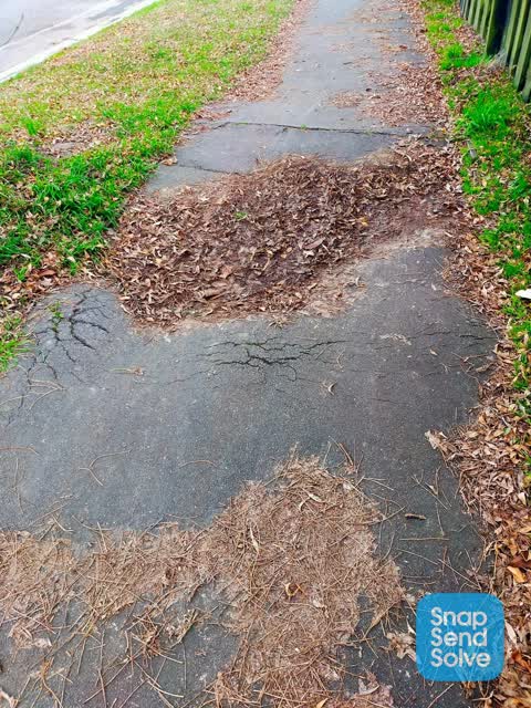 Roading/Streets, a report photo