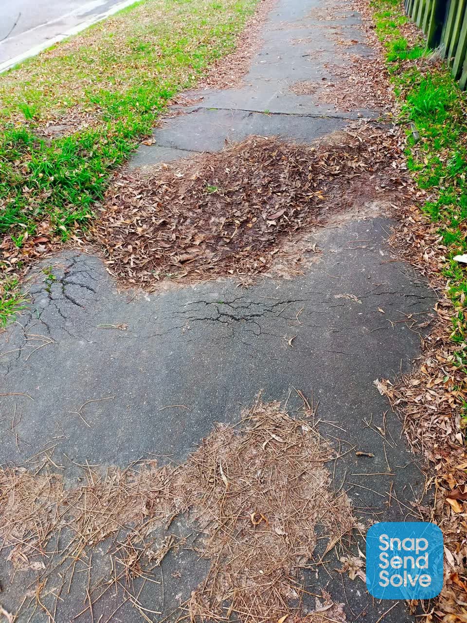The photograph attached to this roading/streets report