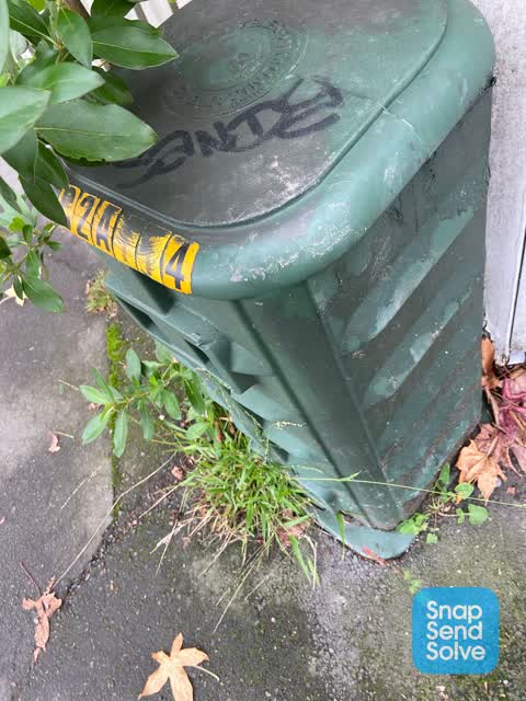 Graffiti, a report photo