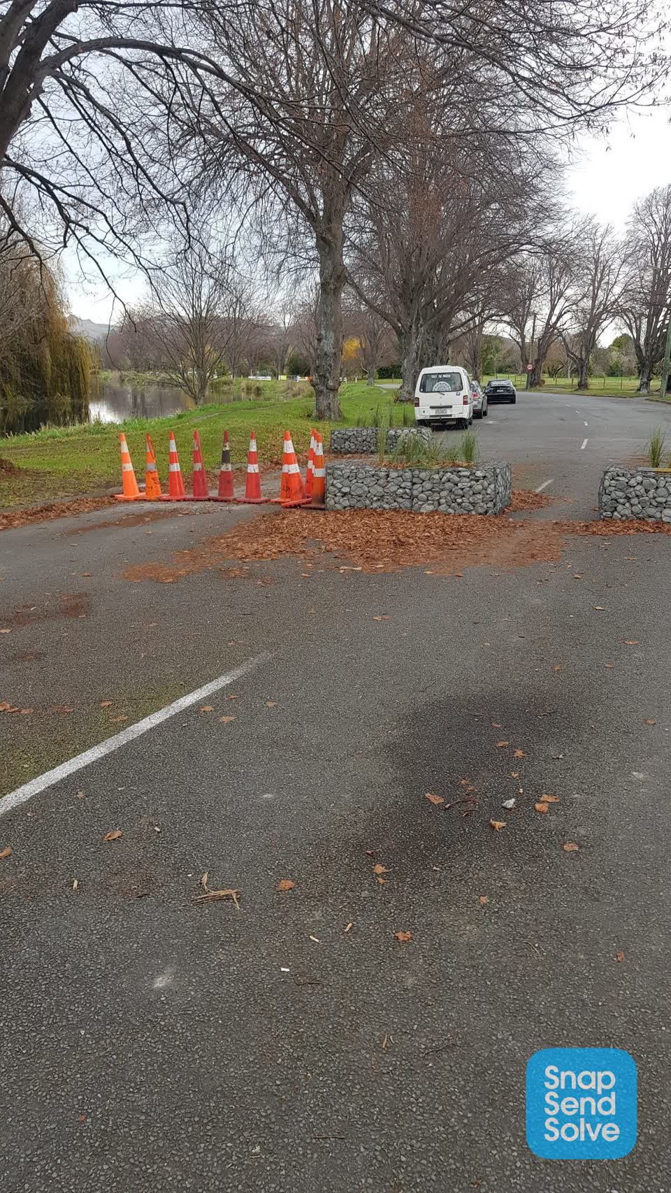 The photograph attached to this parks report