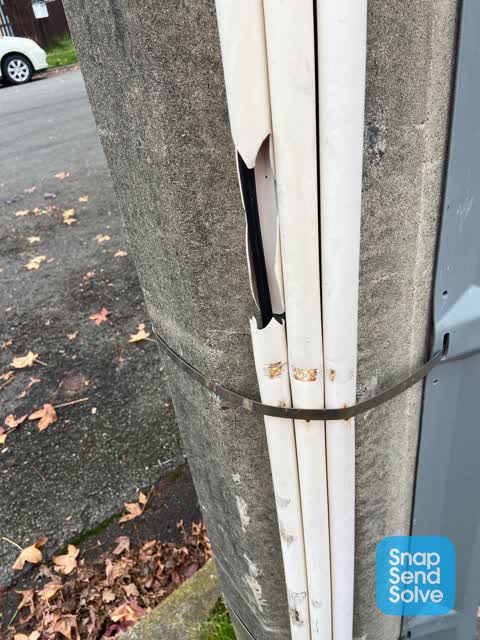 Graffiti, a report photo