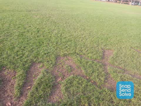 Parks, a report photo