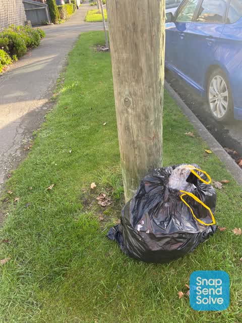 Rubbish/Recycling, a report photo