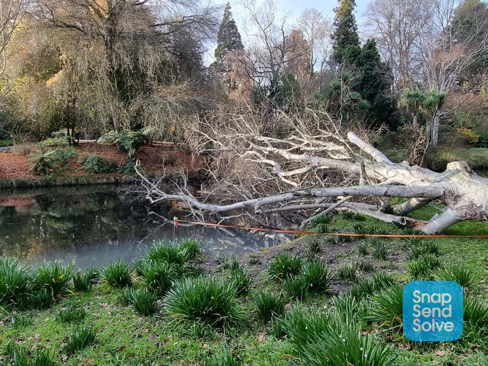 The photograph attached to this parks report