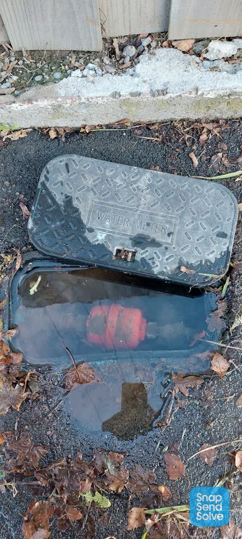 Water Leak, a report photo