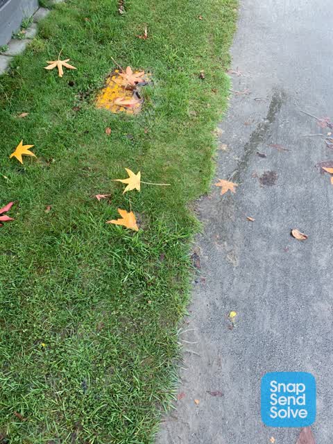 Water Leak, a report photo