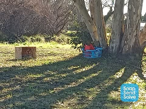 Rubbish/Recycling, a report photo