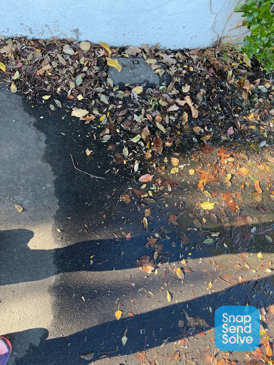 The photograph attached to this water leak report