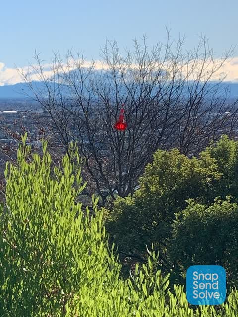 Parks — a report photo