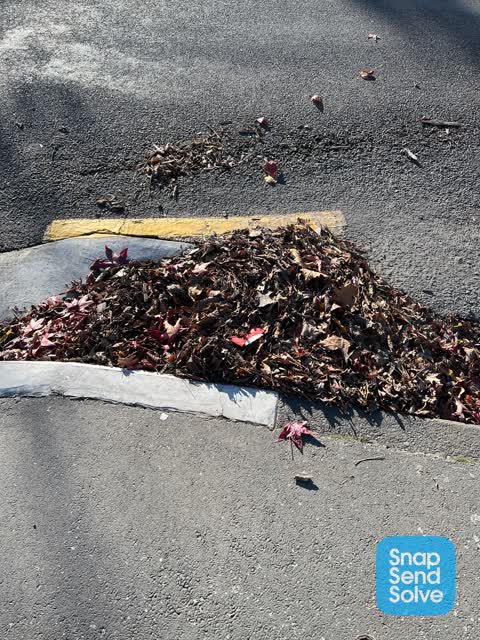 Wastewater/Stormwater, a report photo