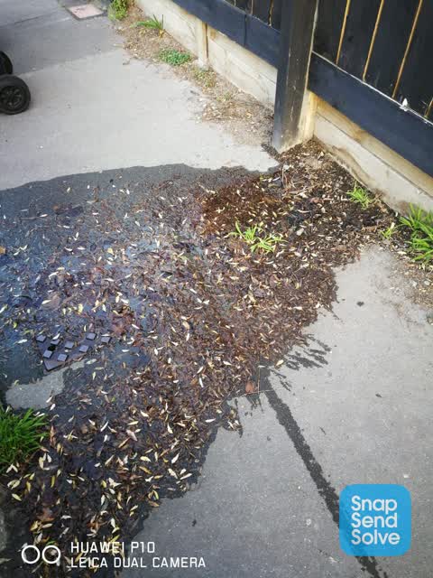 Water Leak, a report photo