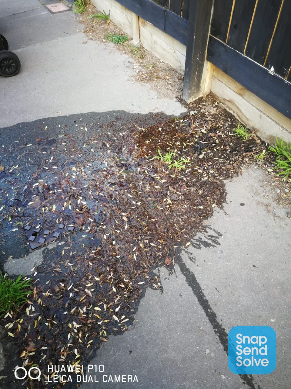 The photograph attached to this water leak report