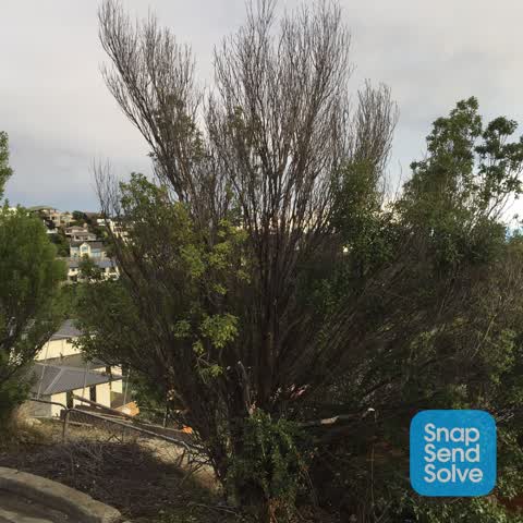 Roading/Streets, a report photo