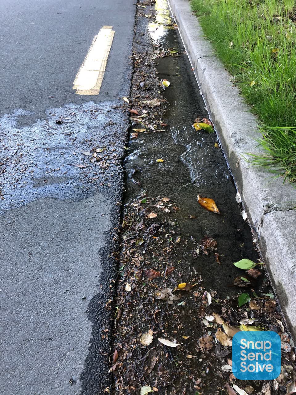 The photograph attached to this water leak report