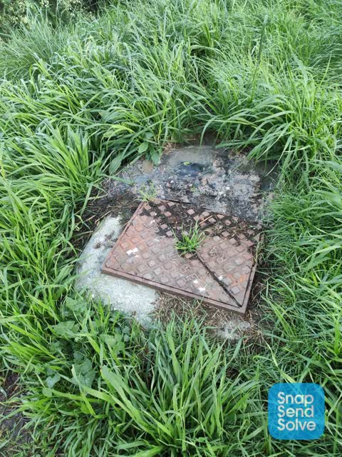 Sewer - Leak / Blockage, a report photo
