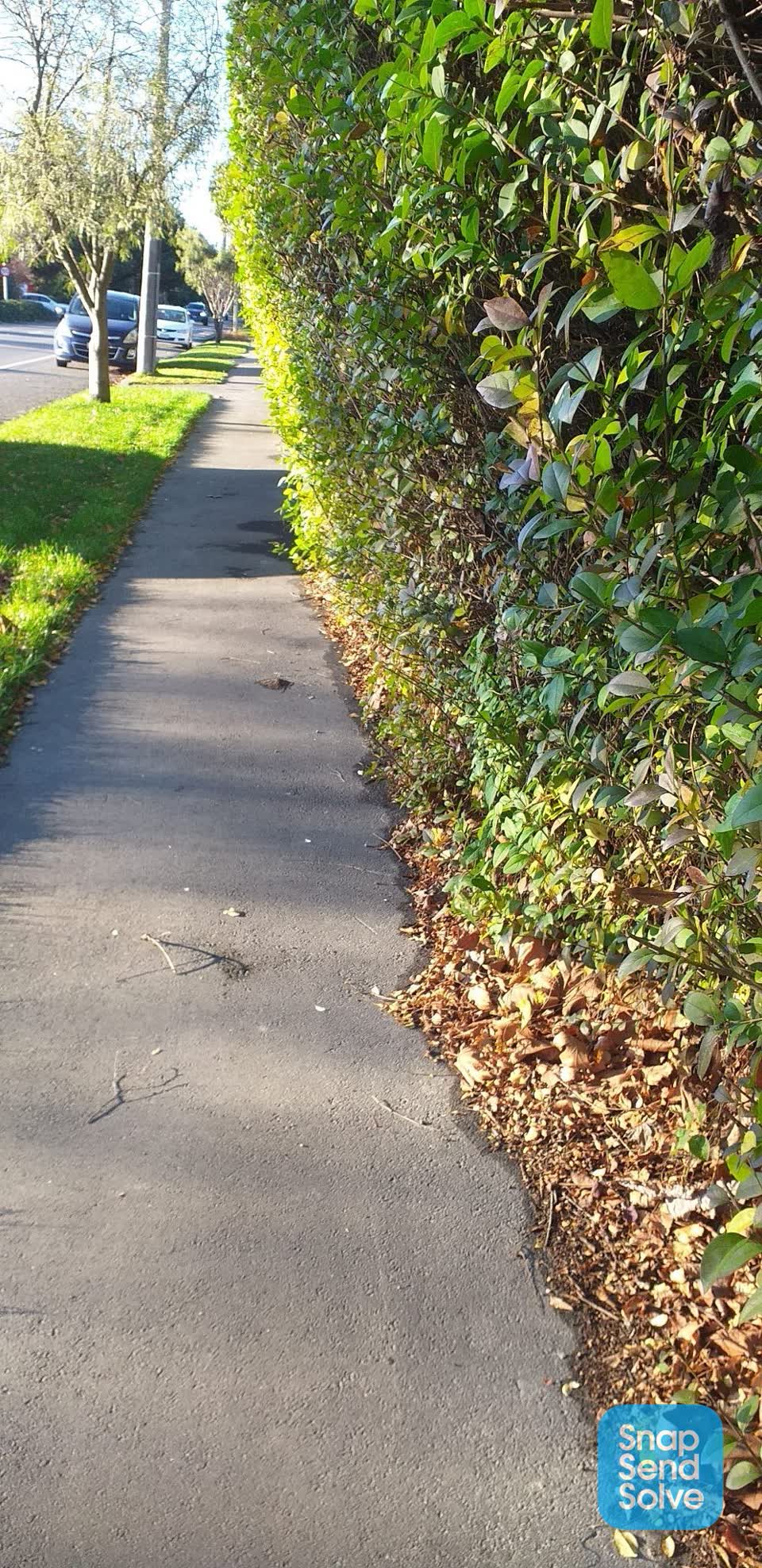 The photograph attached to this roading/streets report