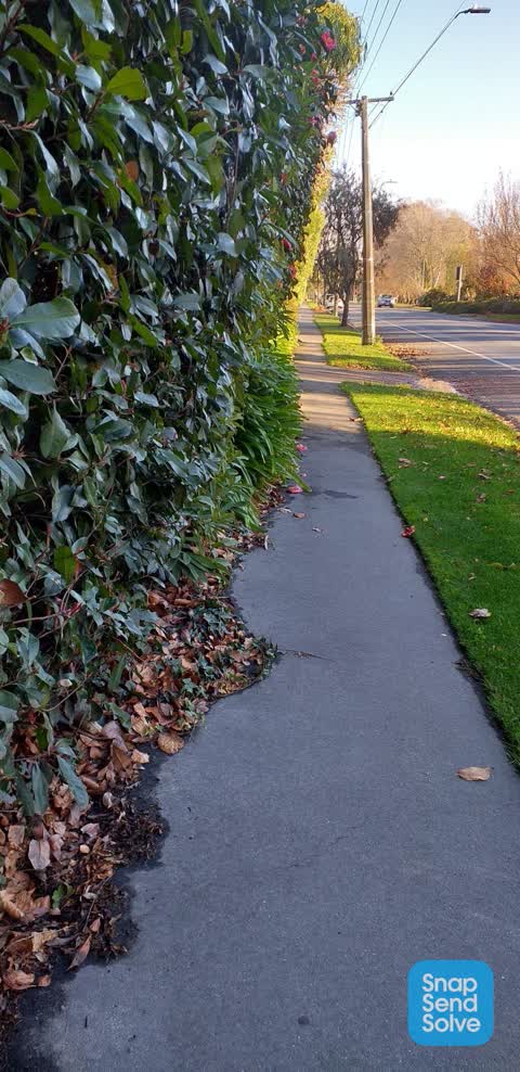 Roading/Streets, a report photo