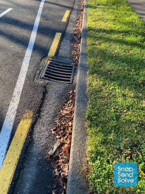 Roading/Streets — a report photo