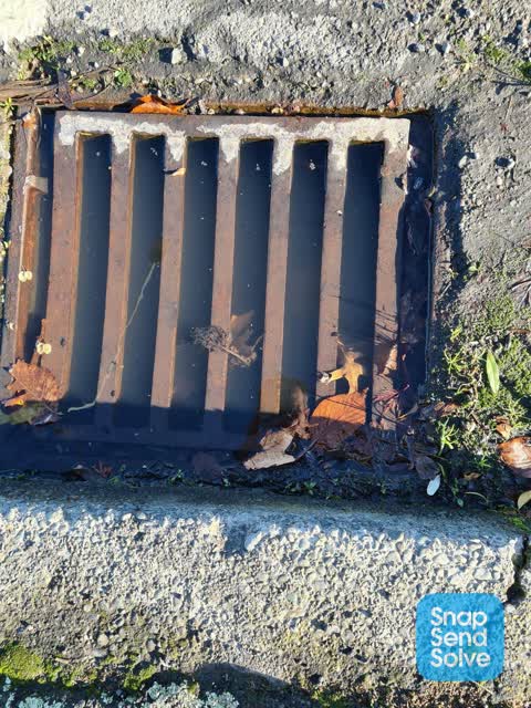 Wastewater/Stormwater, a report photo