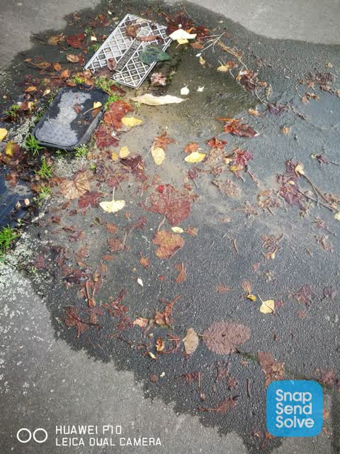 Water Leak, a report photo