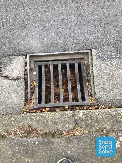 Roading/Streets, a report photo