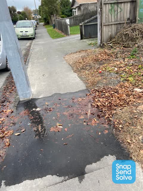 Water Leak, a report photo