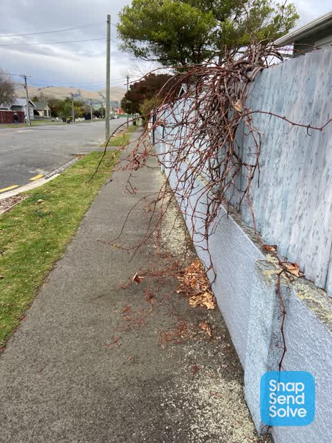 Roading/Streets, a report photo