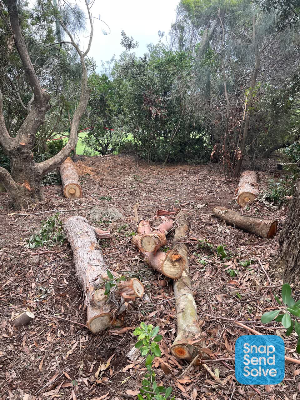The photograph attached to this parks report