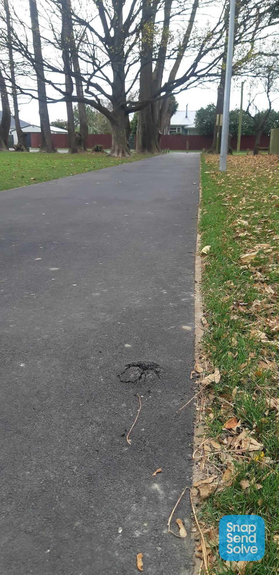 The photograph attached to this roading/streets report