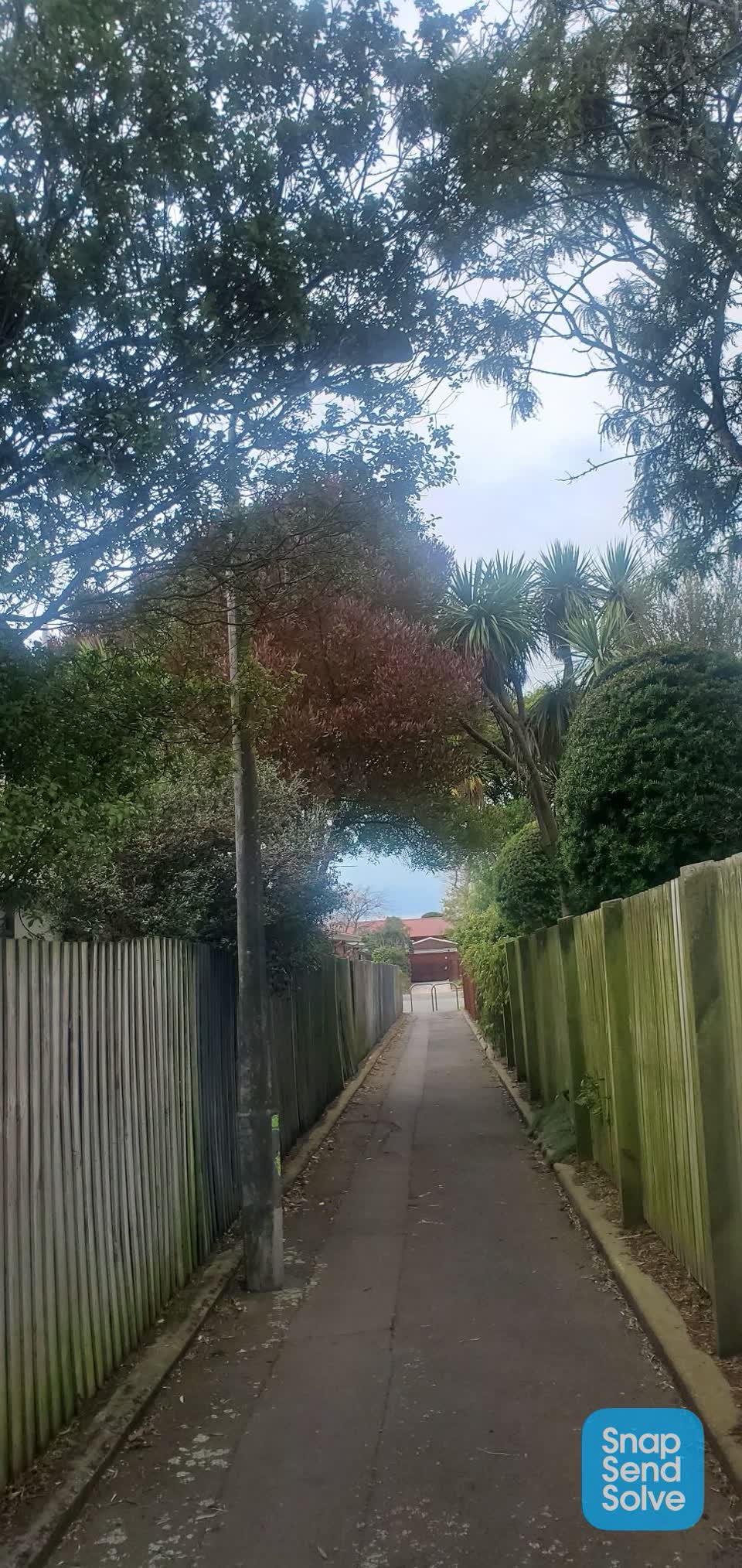 The photograph attached to this street light outage report