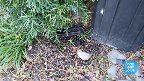 Water Leak, a report photo