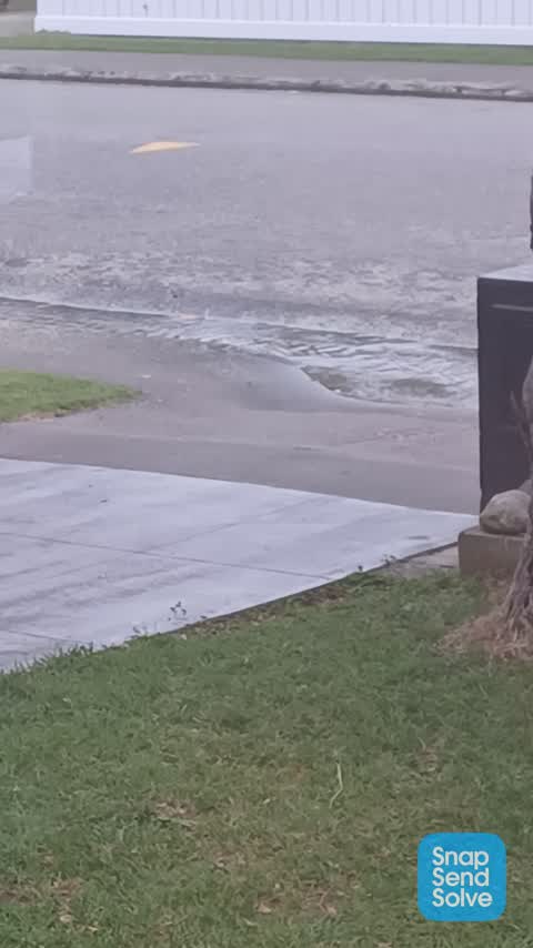 Water Leak, a report photo