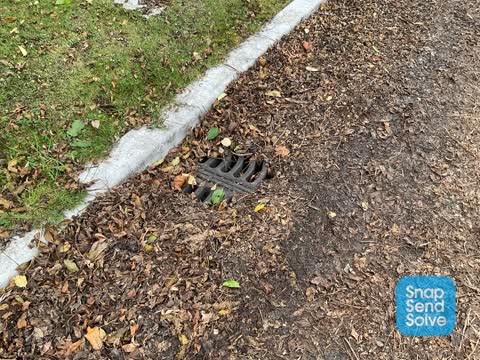 Roading/Streets, a report photo