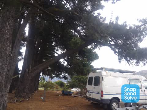 Parks, a report photo